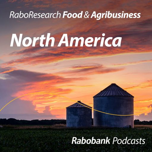North American agribusiness quarterly review, August 2026: Plenty of supply, little room for error cover art