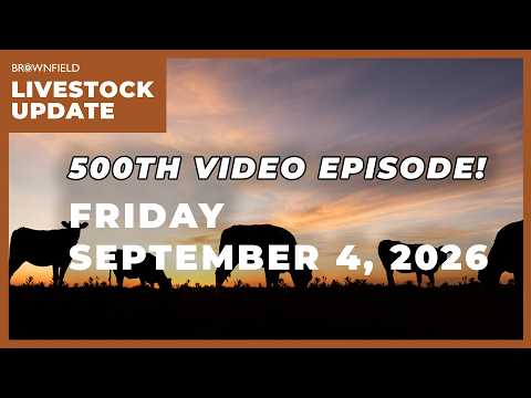Cattle markets continue to face pressure | Weekly Livestock Market Update