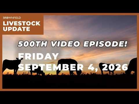 Cattle markets continue to face pressure | Weekly Livestock Market Update cover art