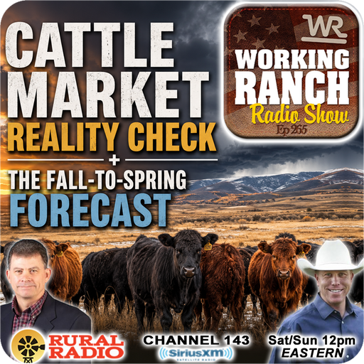 Ep 265: Cattle Market Reality Check + Don Day Fall-to-Spring Forecast cover art