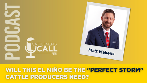 Will This El Niño Be the “Perfect Storm” Cattle Producers Need? cover art