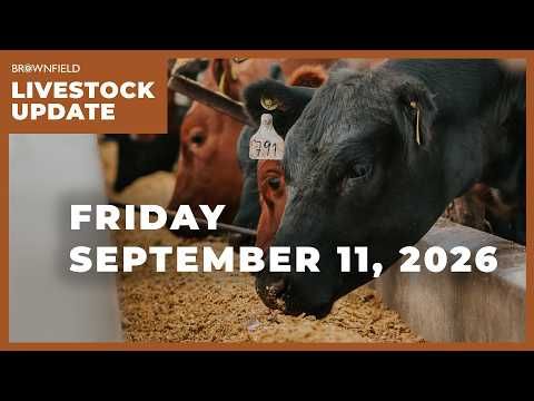 Cattle futures move higher this week | Weekly Livestock Market Update cover art
