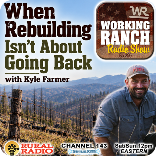 Ep 266: When Rebuilding Isn’t About Going Back w/ Kyle Farmer cover art