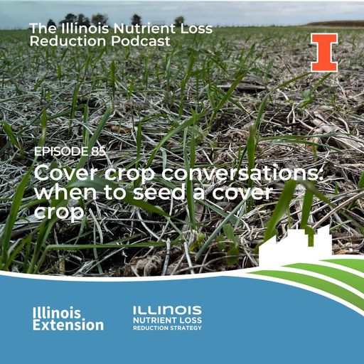 Episode 85 | Cover Crop Conversations: when to seed a cover crop cover art