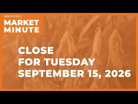 Cattle were lower Tuesday | Closing Market Minute cover art