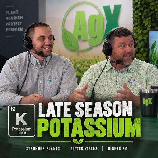 Your Soil Has Potassium. So Why Can’t Your Crop Get It? cover art