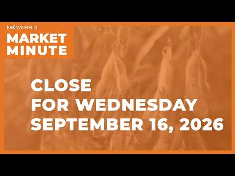 Cattle were lower Wednesday | Closing Market Minute