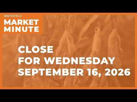 Cattle were lower Wednesday | Closing Market Minute cover art