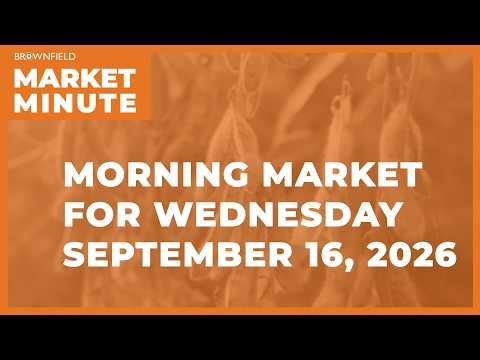 Soybeans were higher overnight | Morning Market Minute cover art