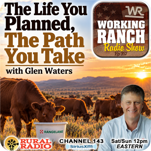 Ep 267: The Life You Planned, The Path You Take w/ Glen Waters cover art