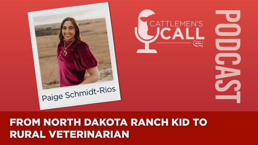 From North Dakota Ranch Kid to Rural Veterinarian cover art