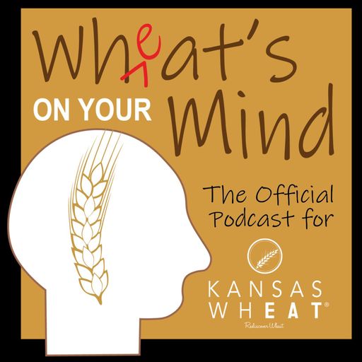 Wheat Farming: Legacy, Markets and Survival cover art