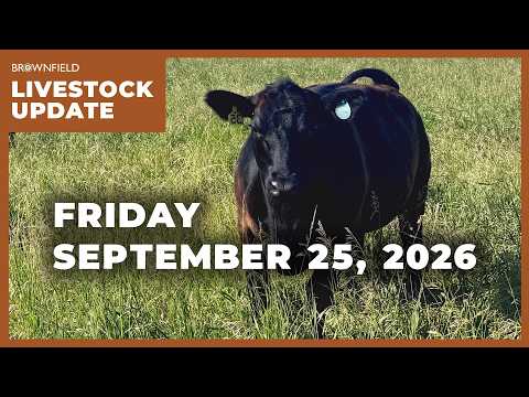 Cattle futures move higher this week | Weekly Livestock Market Update