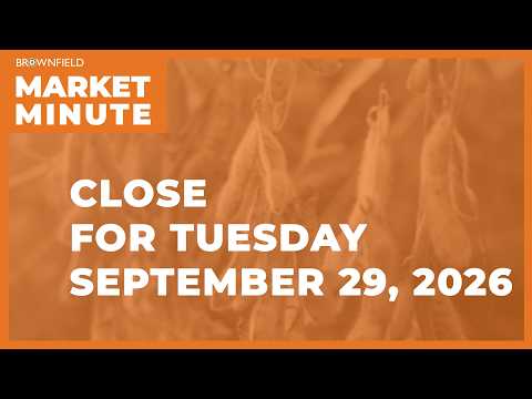 Hogs were higher Tuesday | Closing Market Minute