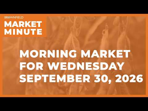 Grains and oilseeds were higher overnight | Morning Market Minute