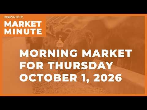 Soybeans were down overnight | Morning Market Minute cover art